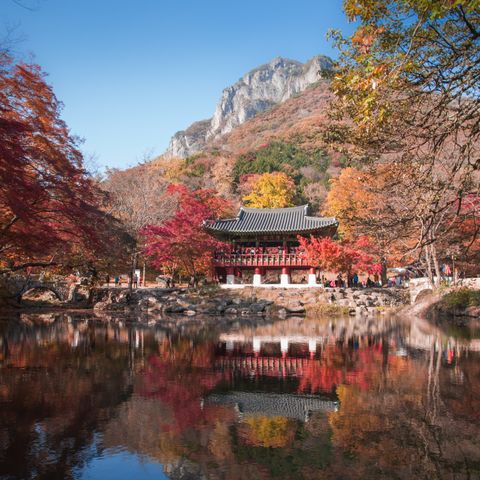 가을 정자
